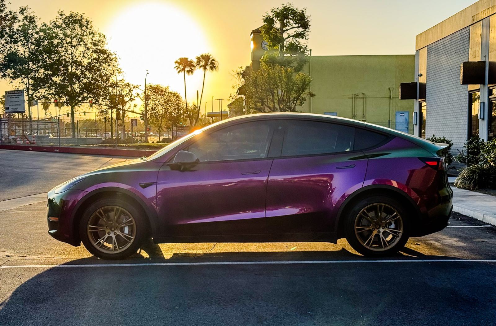ShowCarPerfection shop car — Tesla Model Y side profile, OEM hub caps on