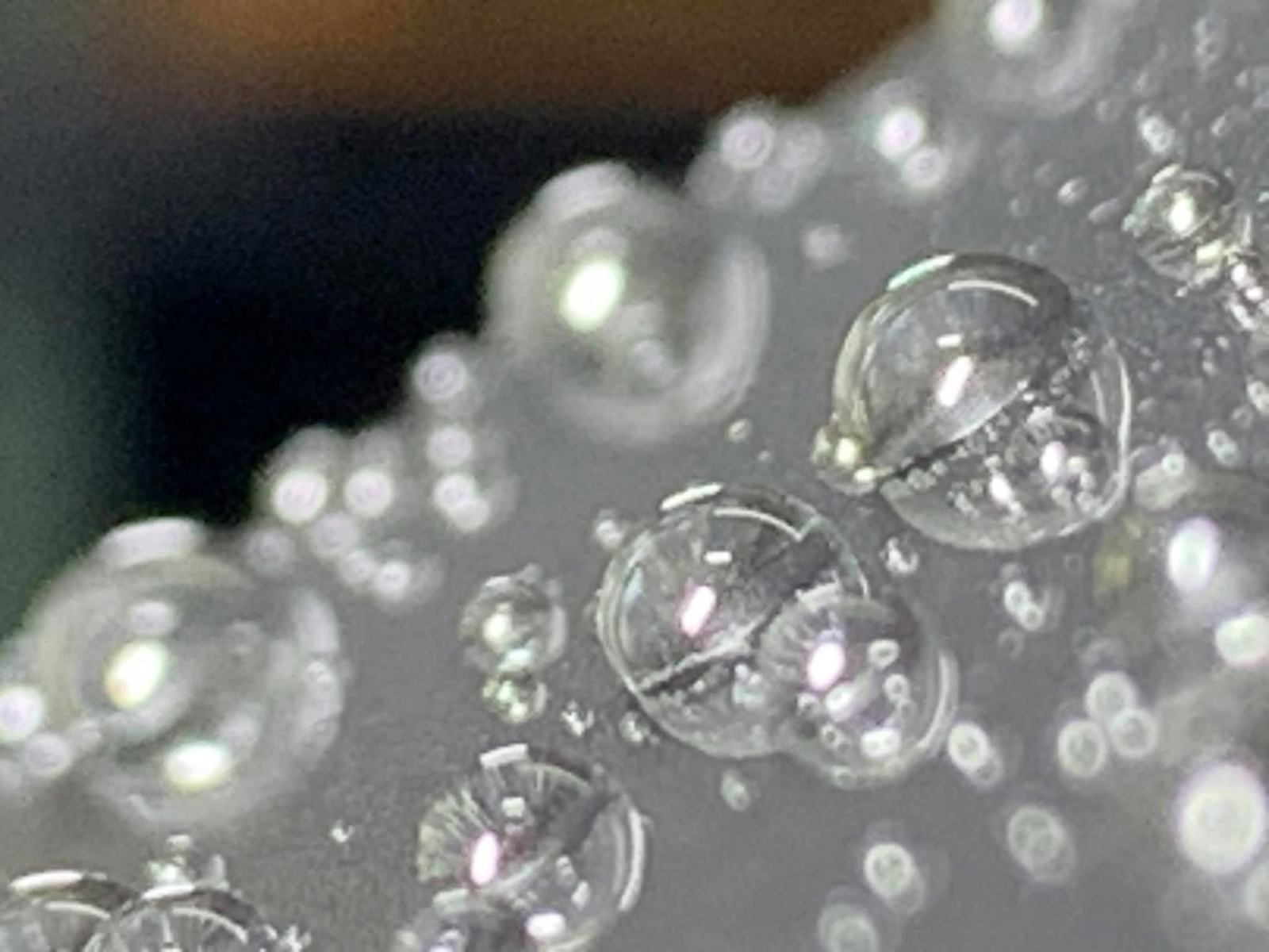 Micro-beads on a light-colored coated surface